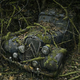 Illustration for article titled Photos of the abandoned antique cars nature has reclaimed